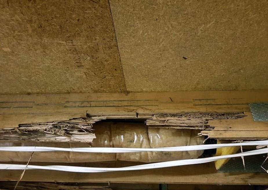 Floor framing under an OSB subfloor eaten away in layers by termites, with a plastic-wrapped duct and white cables running below the damaged wood